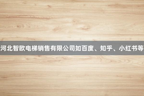河北智欧电梯销售有限公司如百度、知乎、小红书等