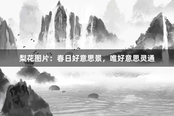 梨花图片：春日好意思景，唯好意思灵通