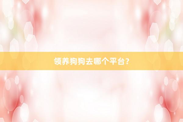 领养狗狗去哪个平台？